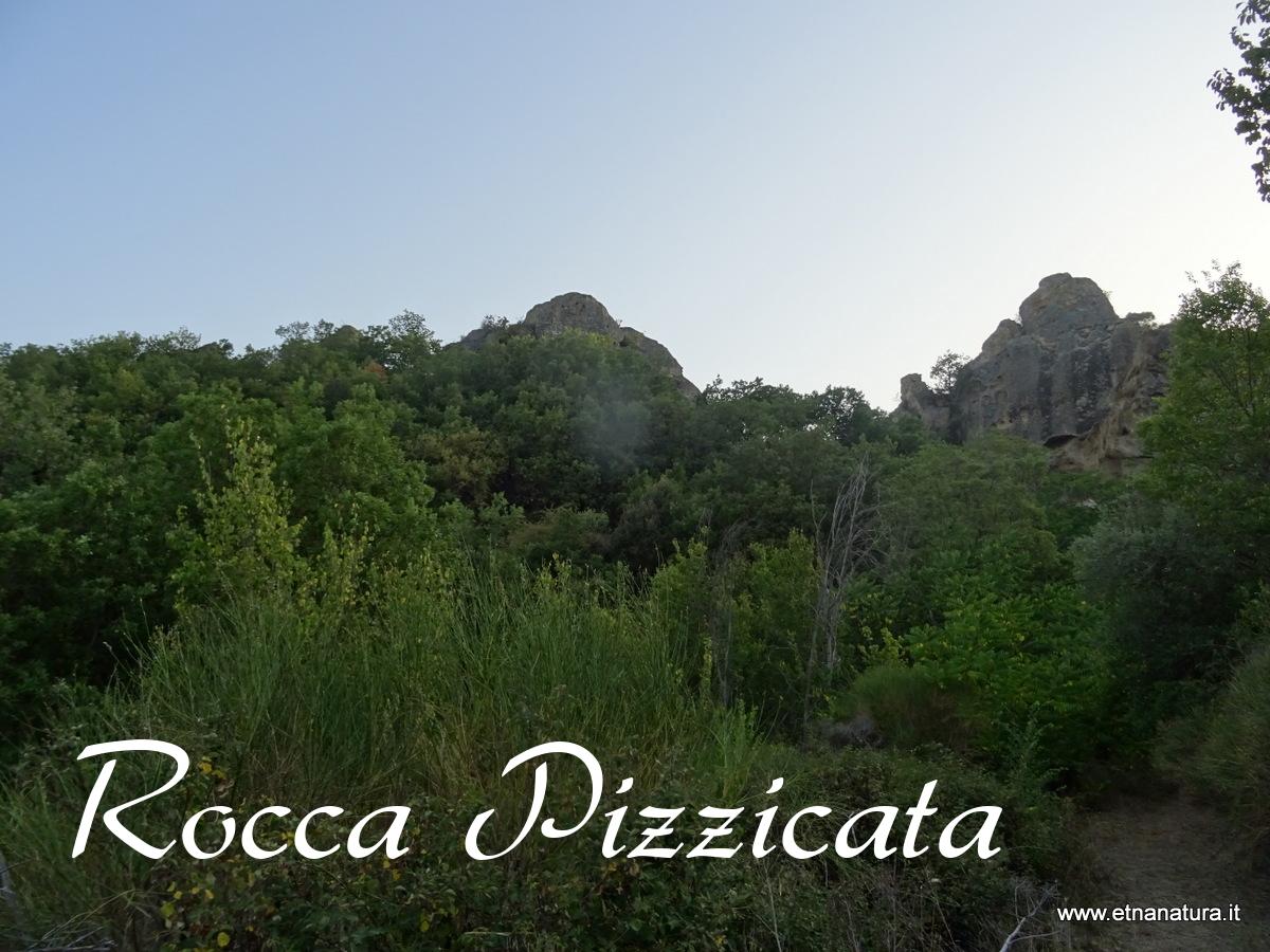 Rocca Pizzicata